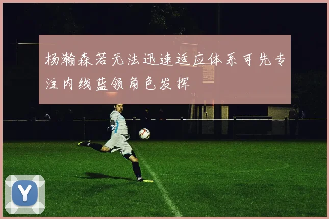 杨瀚森若无法迅速适应体系可先专注内线蓝领角色发挥