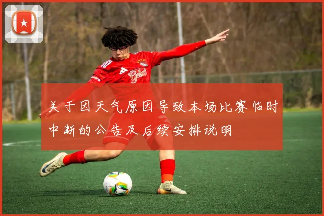关于因天气原因导致本场比赛临时中断的公告及后续安排说明
