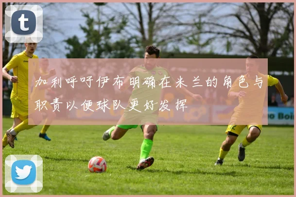 加利呼吁伊布明确在米兰的角色与职责以便球队更好发挥